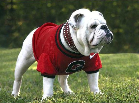 1014UGA