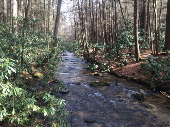 TRAIL appalachian
