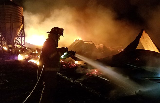 20 Horses 2 Dogs Die In East Hall Chicken House Fire Gainesville