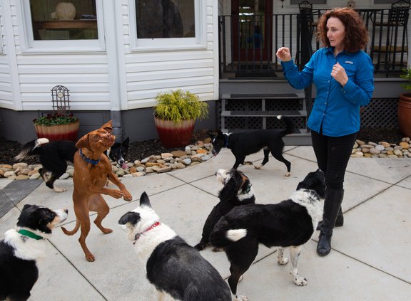 03032019 DOGS 010.JPG