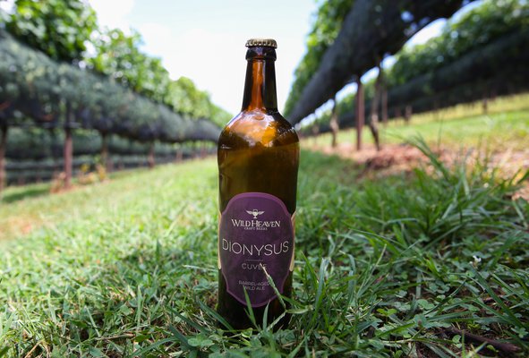 08182019 BEER 001.jpg