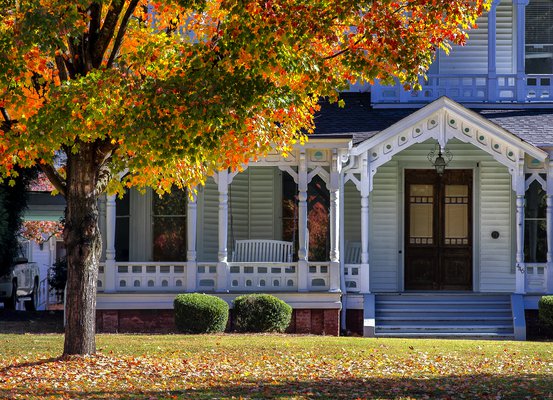 FALLCOLOR 1.jpg