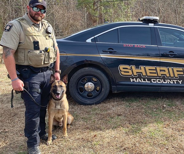 Where to recycle your Christmas tree Gainesville Times